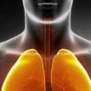 Learn Proper Breathing Patterns: Learn to Lift More