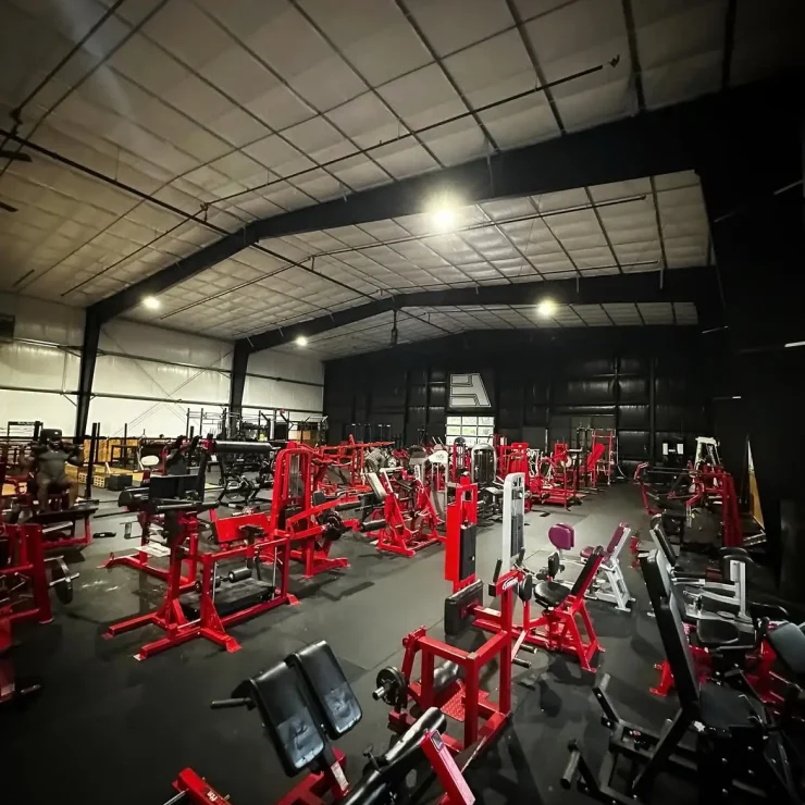 Everyday Athletes upper-body strength equipment