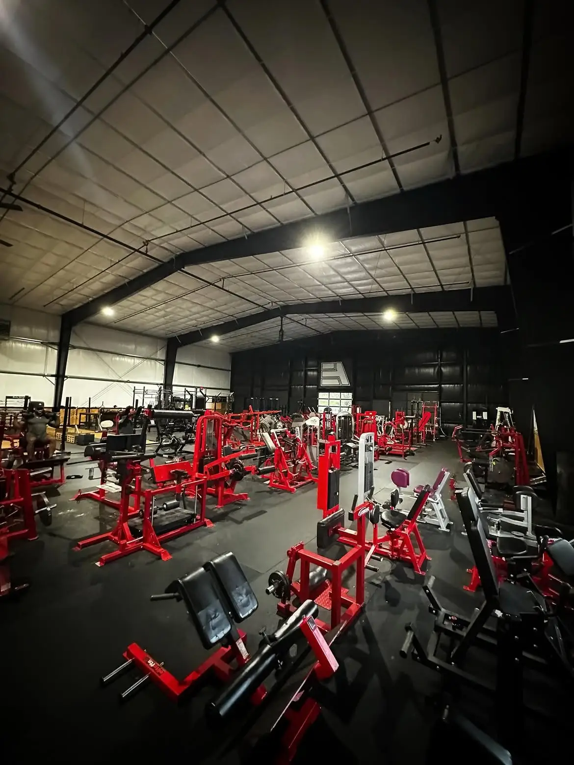 Everyday Athletes upper-body strength equipment
