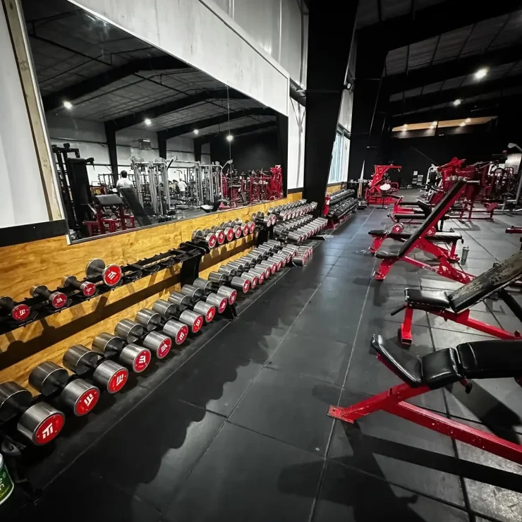 Dumbbell section new gym Everyday Athletes 24 hour access